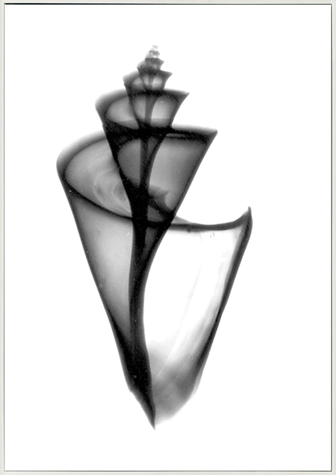 canvas_frame
