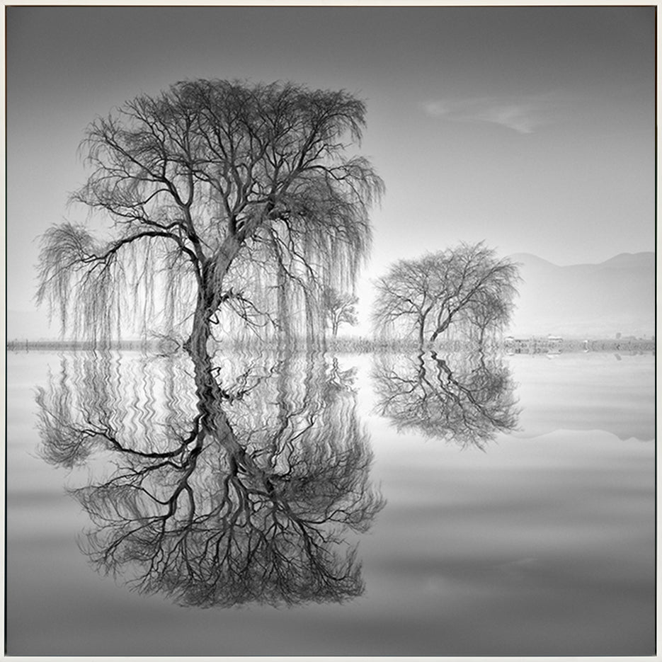 canvas_frame