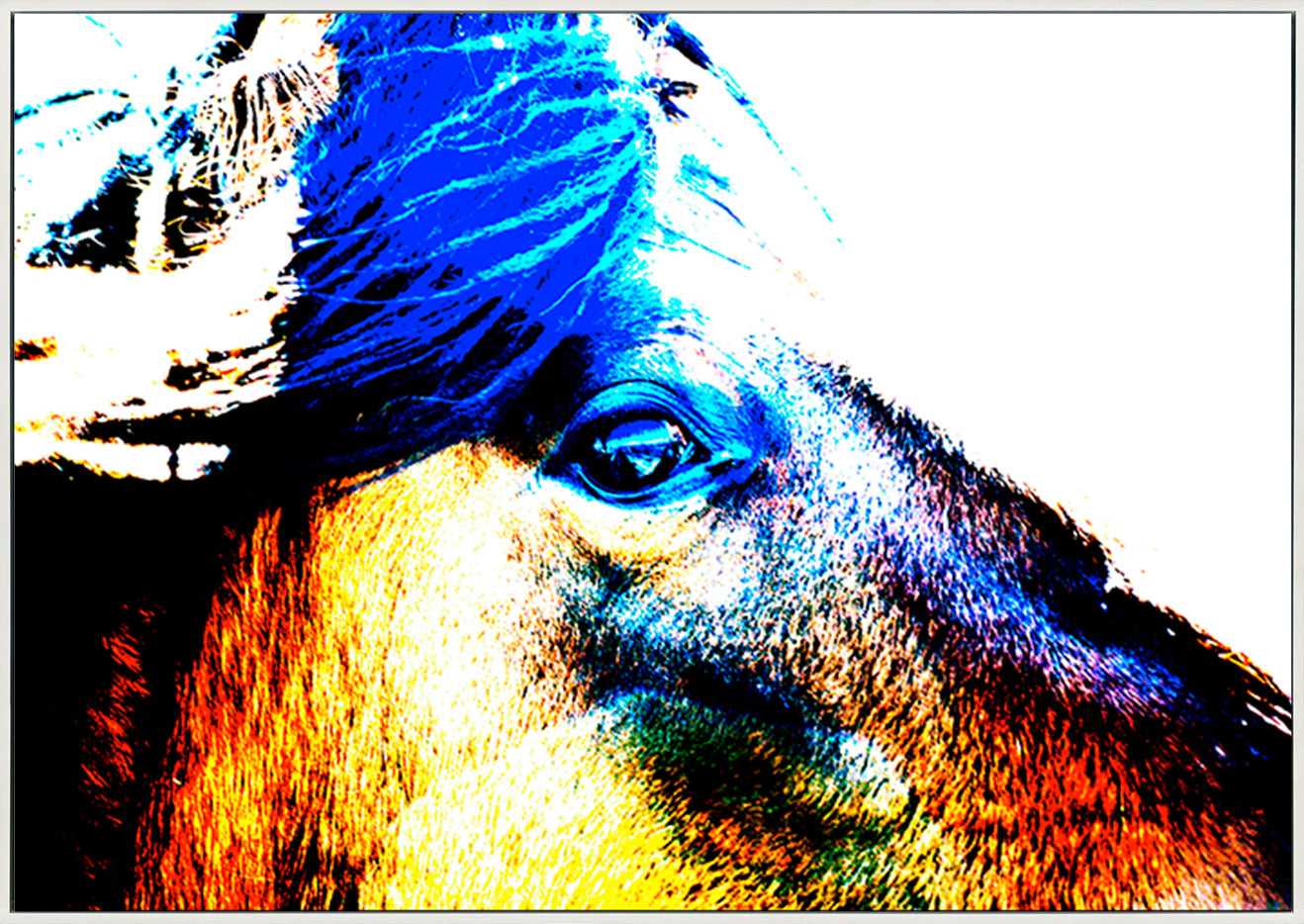 canvas_frame