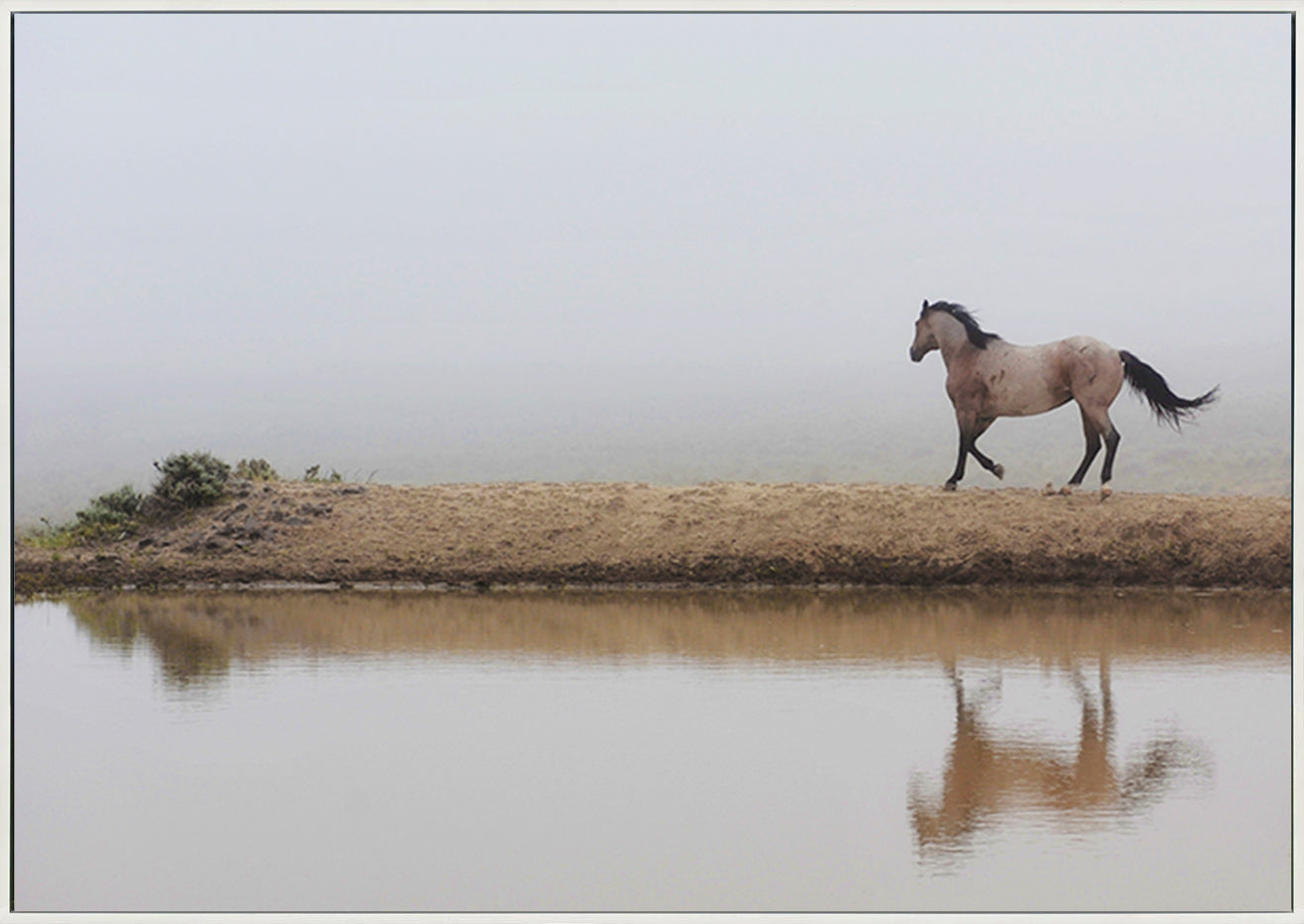canvas_frame