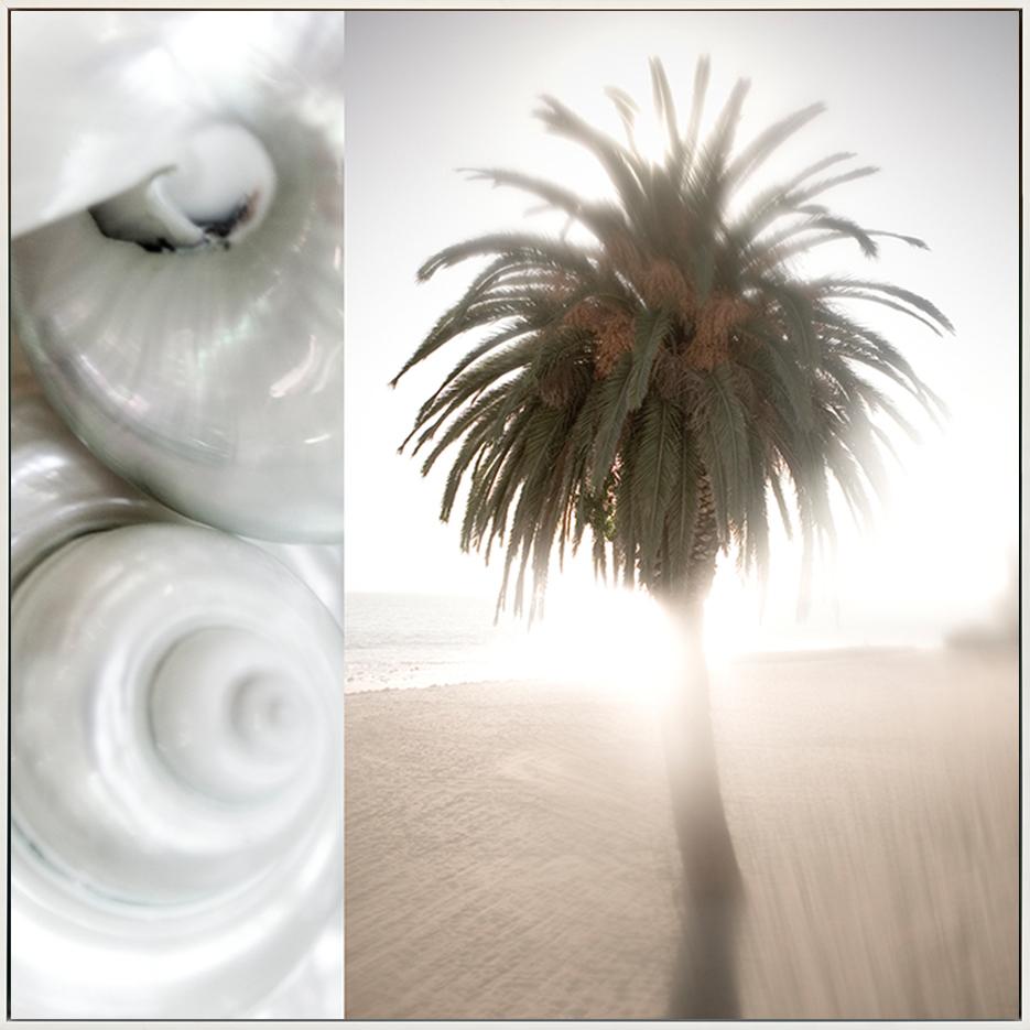 canvas_frame