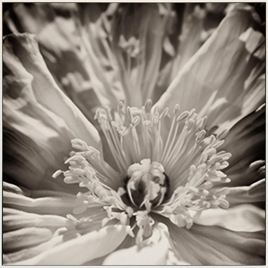 canvas_frame