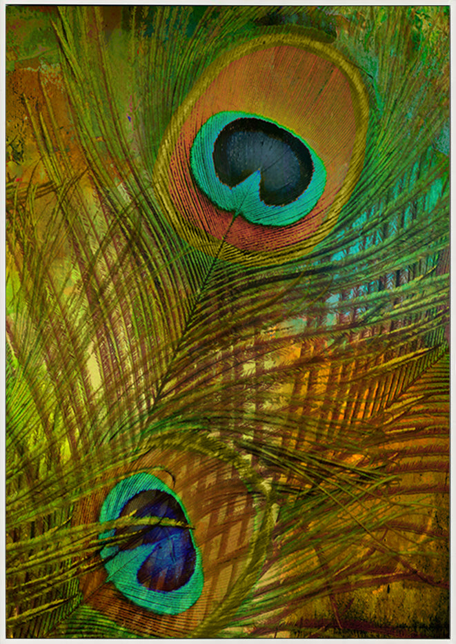 canvas_frame