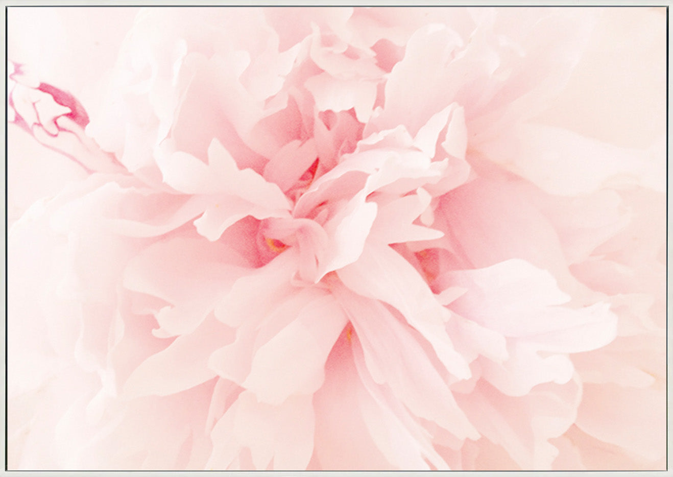 canvas_frame