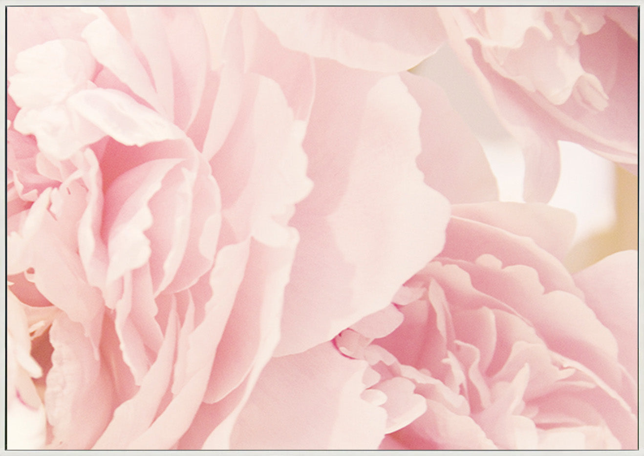 canvas_frame