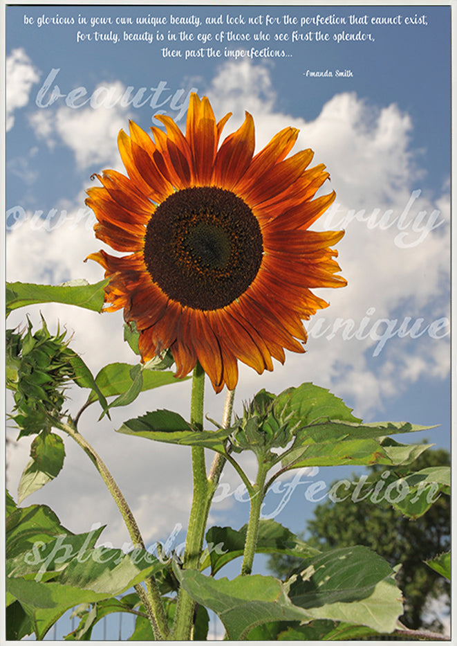 canvas_frame