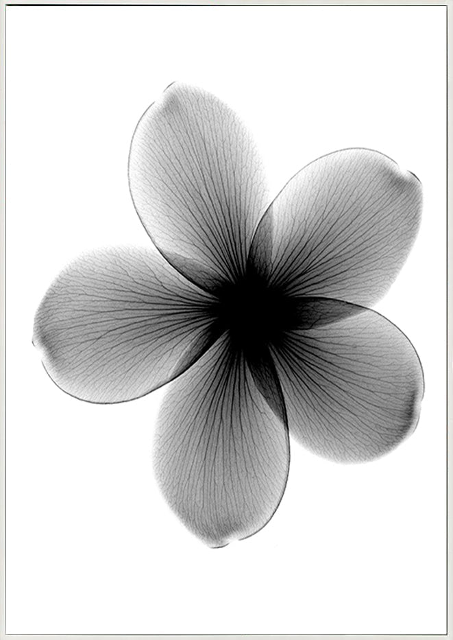 canvas_frame