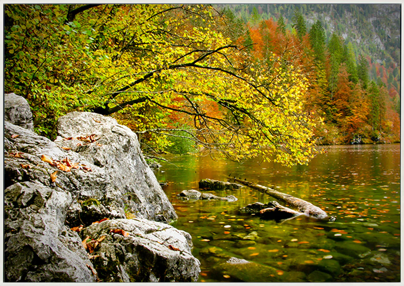 canvas_frame