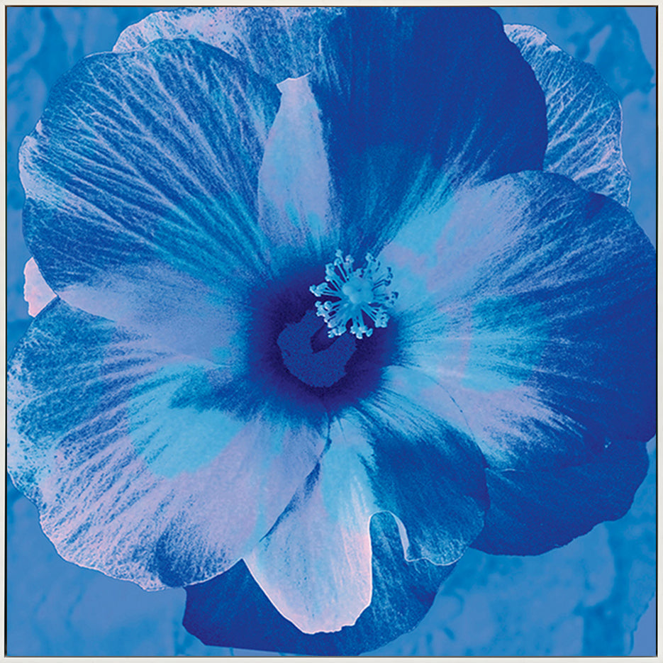 canvas_frame