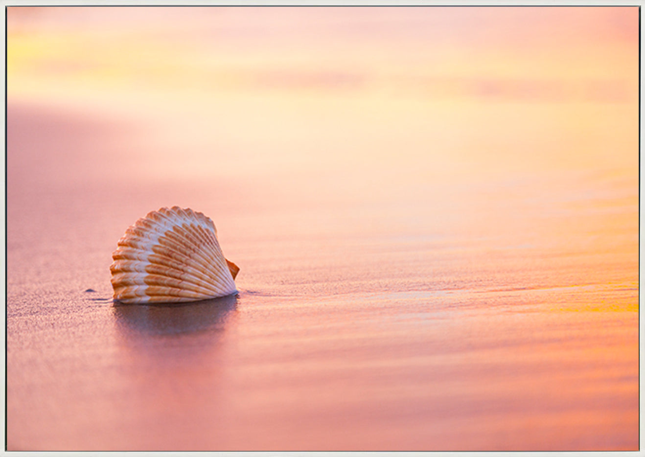 canvas_frame