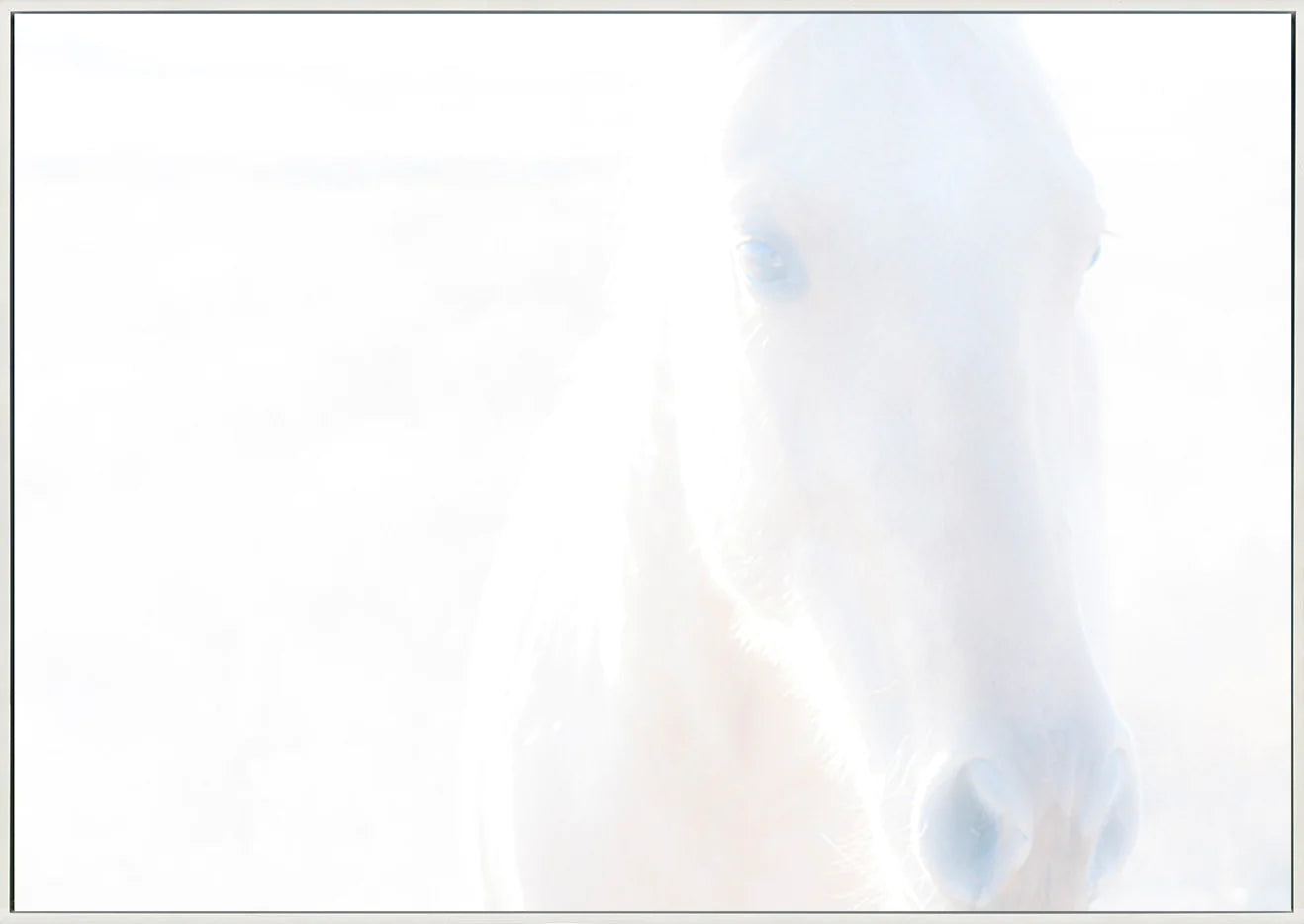 canvas_frame