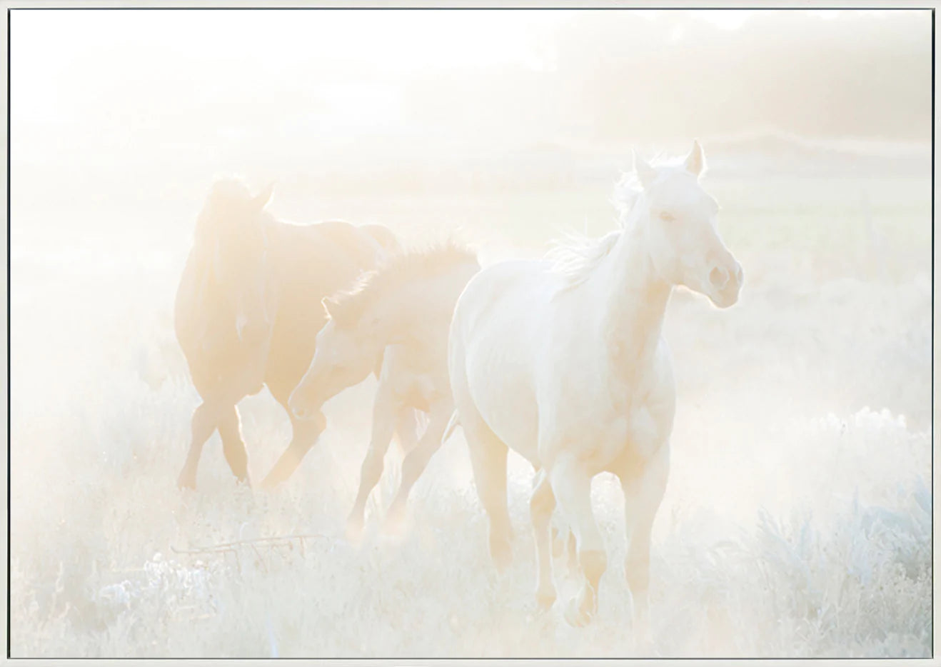 canvas_frame