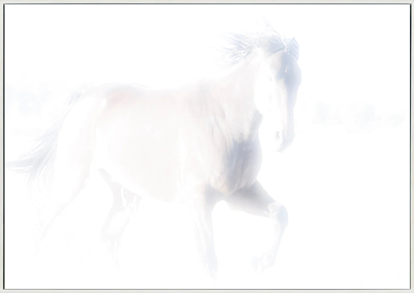 canvas_frame