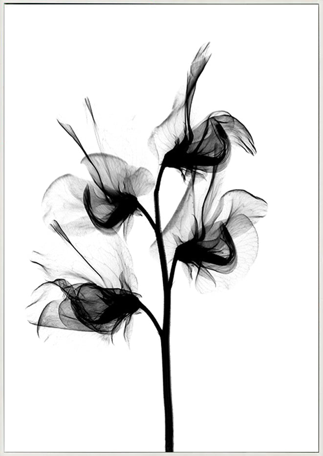 canvas_frame