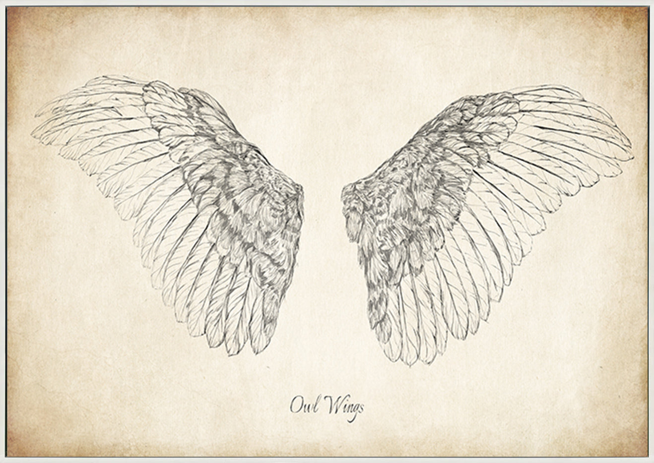 canvas_frame
