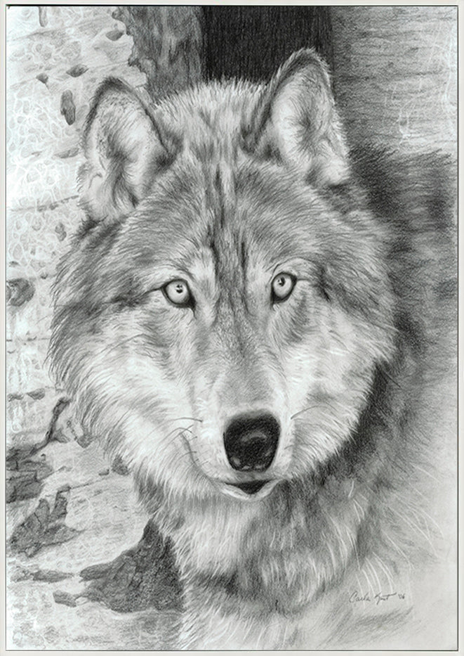 canvas_frame
