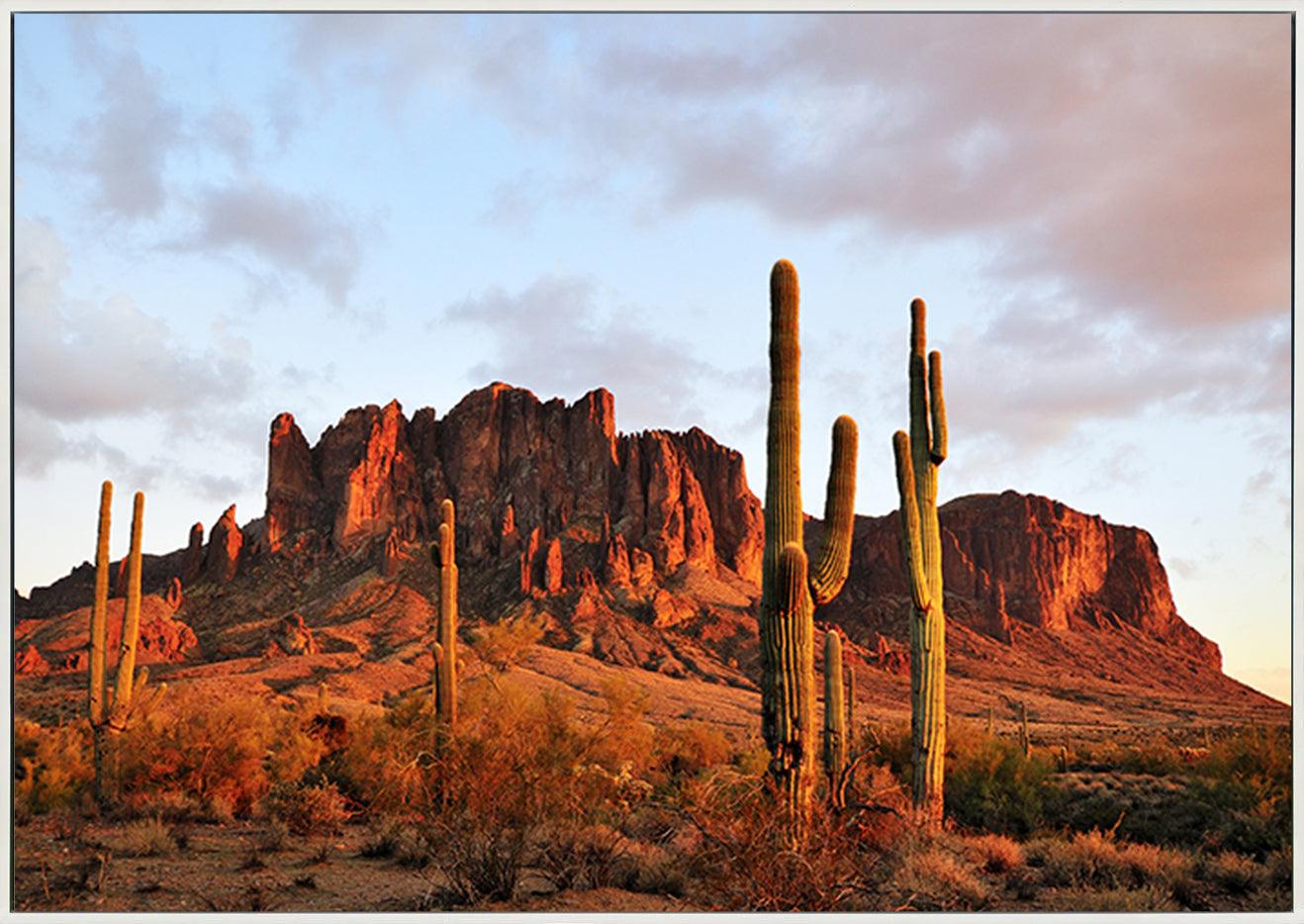 a44895753s Sunset on Superstition Mountain with cactus in desert copy - ArtFramed