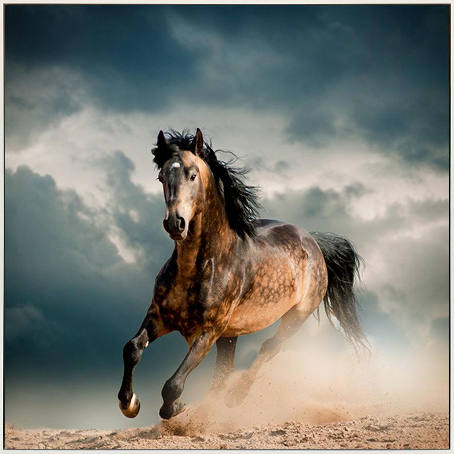 a59883082s horse running - ArtFramed