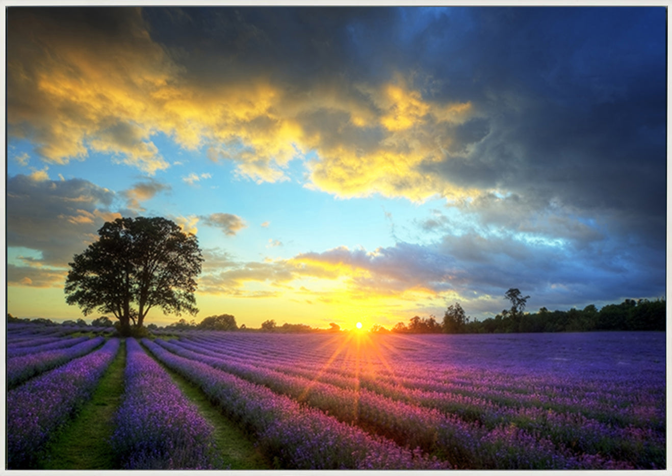 canvas_frame