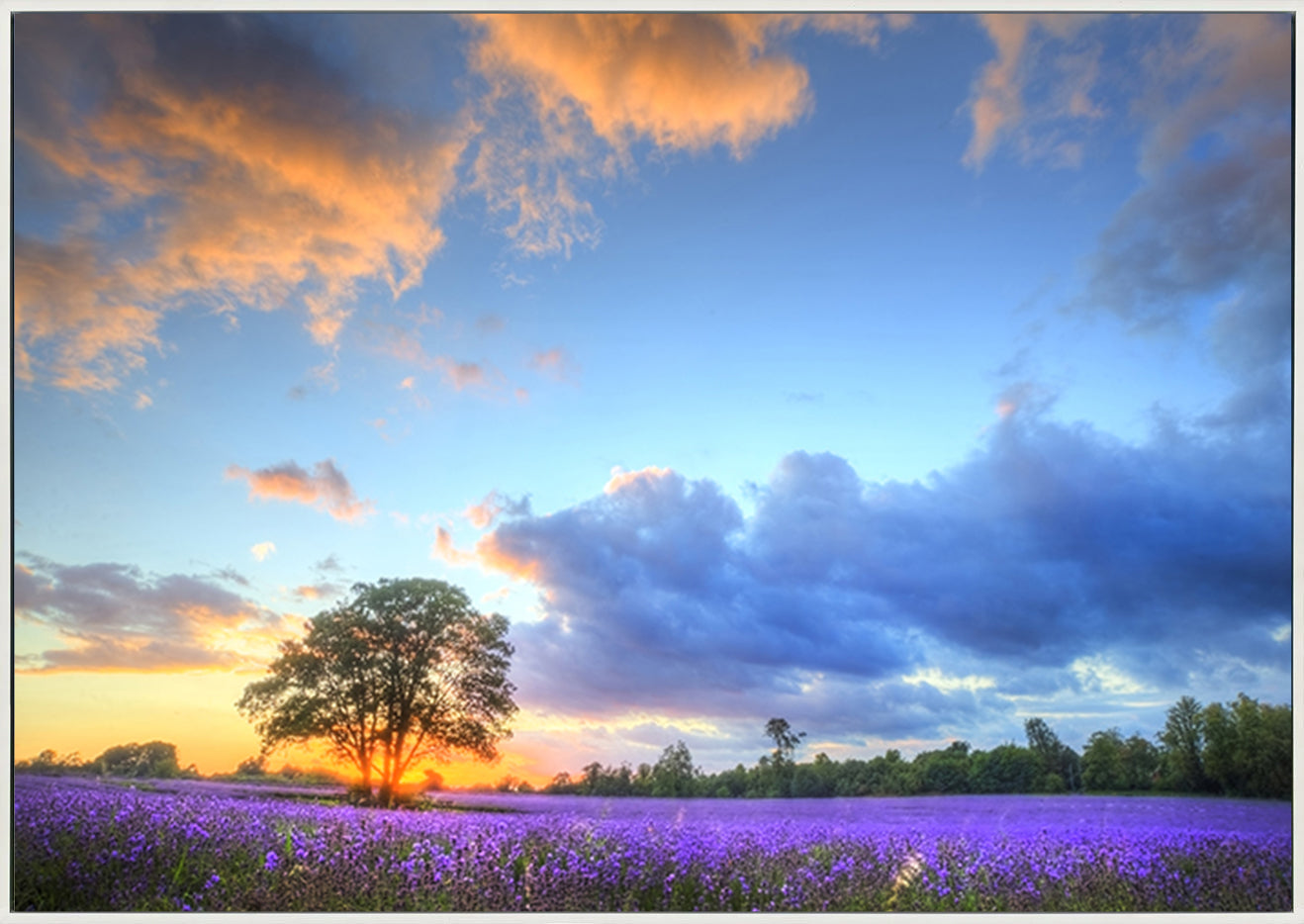 canvas_frame