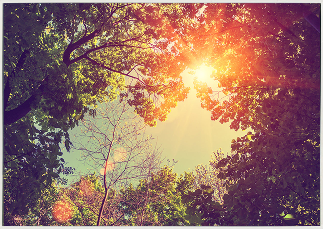 canvas_frame