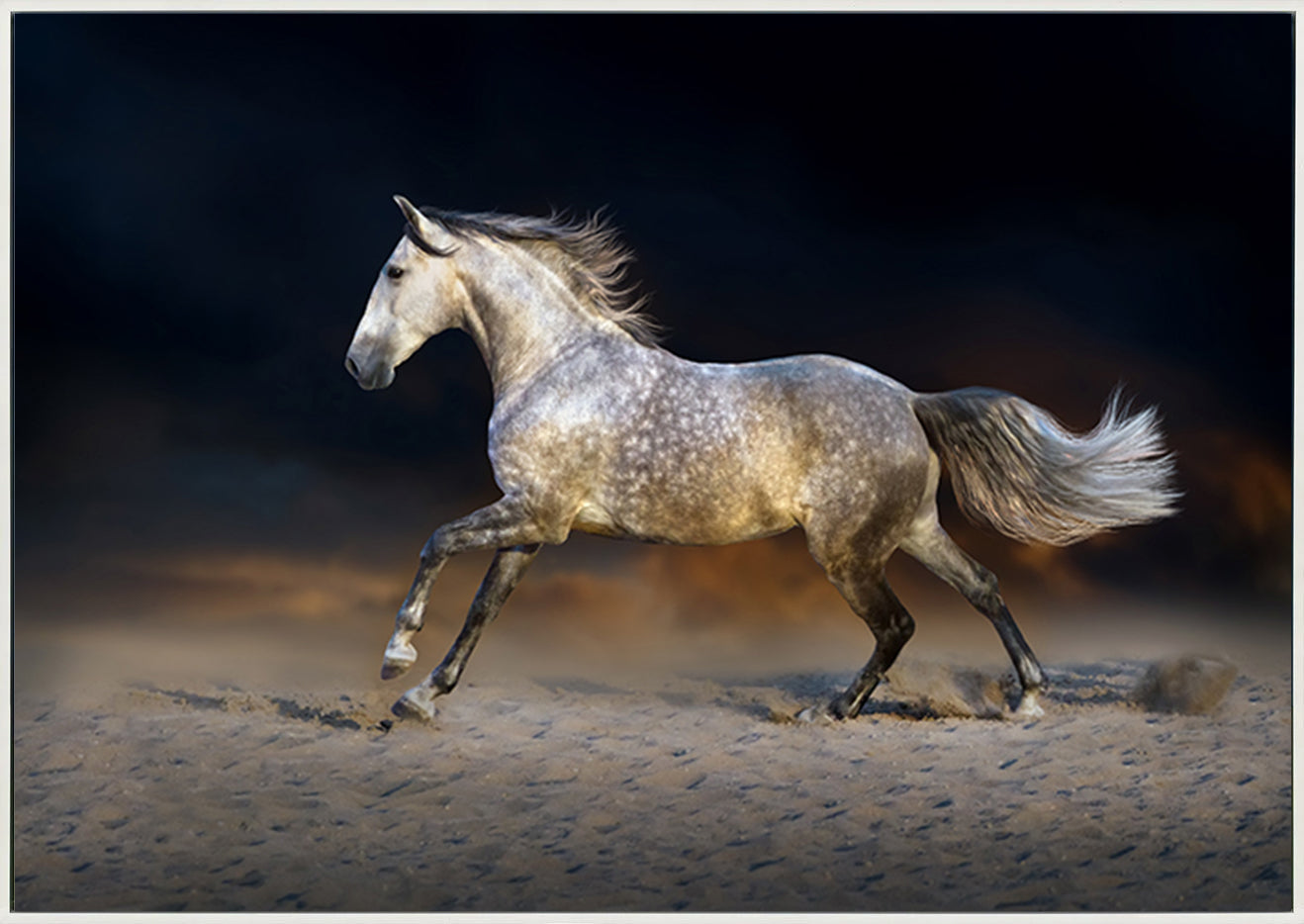 canvas_frame