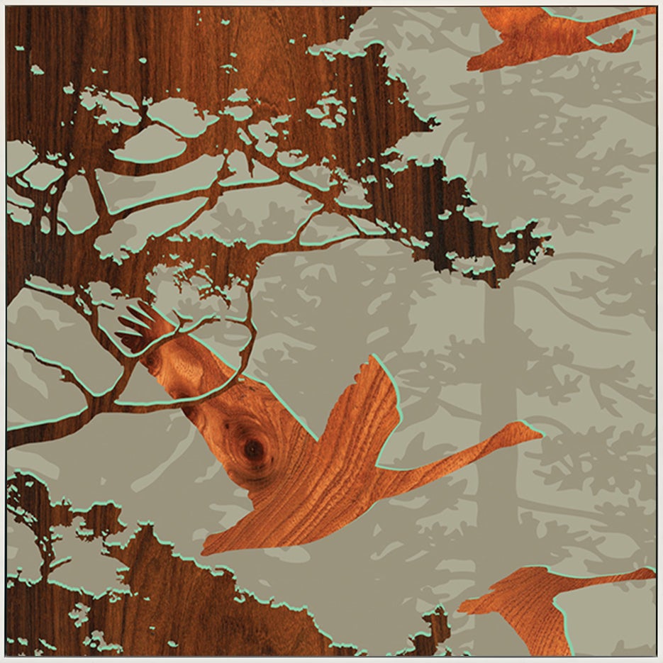 canvas_frame