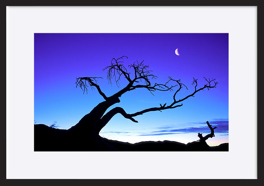 paper_frame