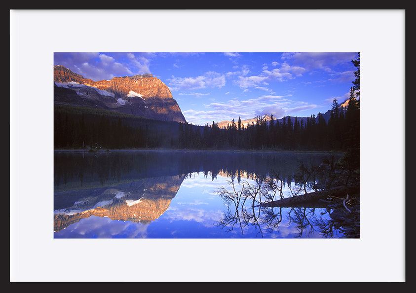 paper_frame