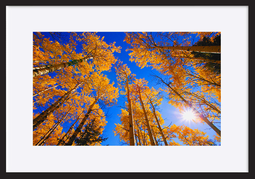 paper_frame