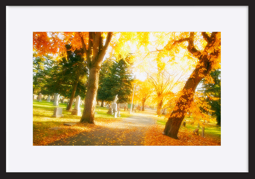 paper_frame