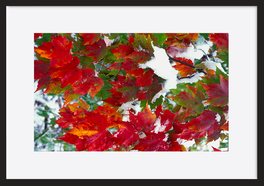 paper_frame