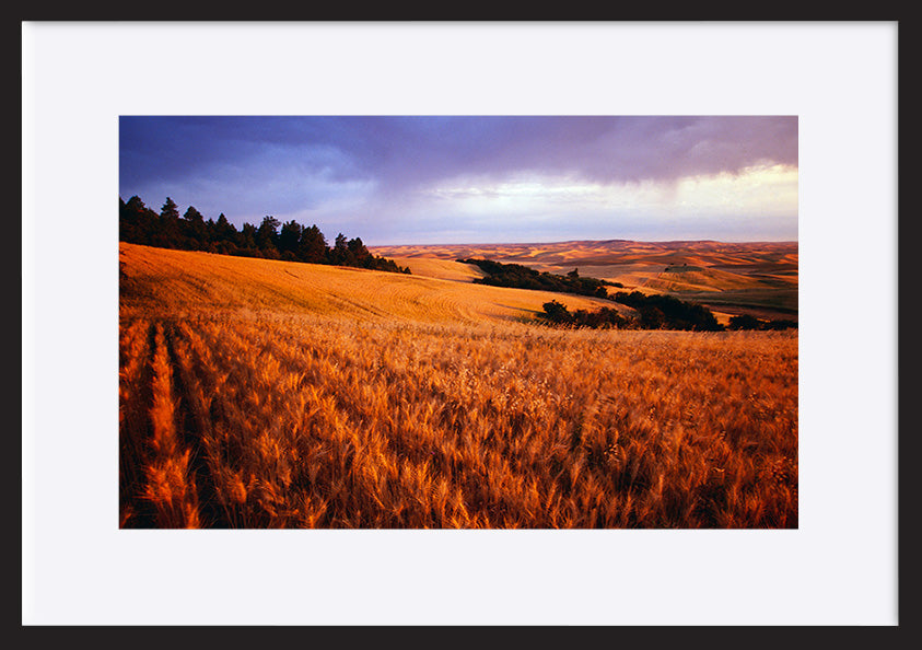 paper_frame