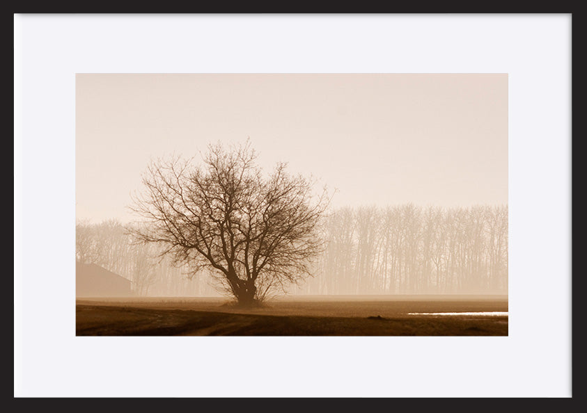 paper_frame