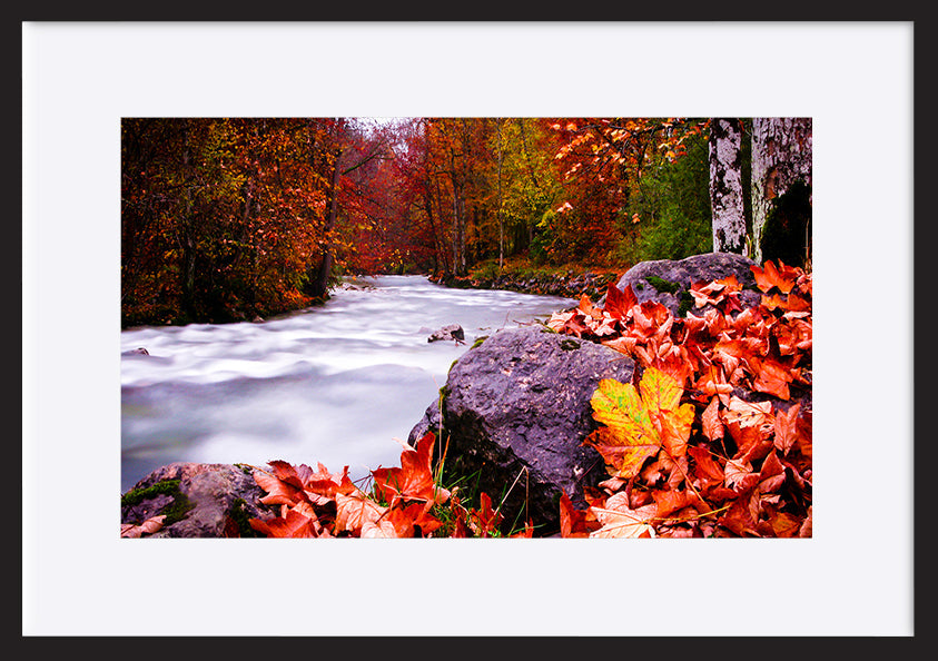 paper_frame