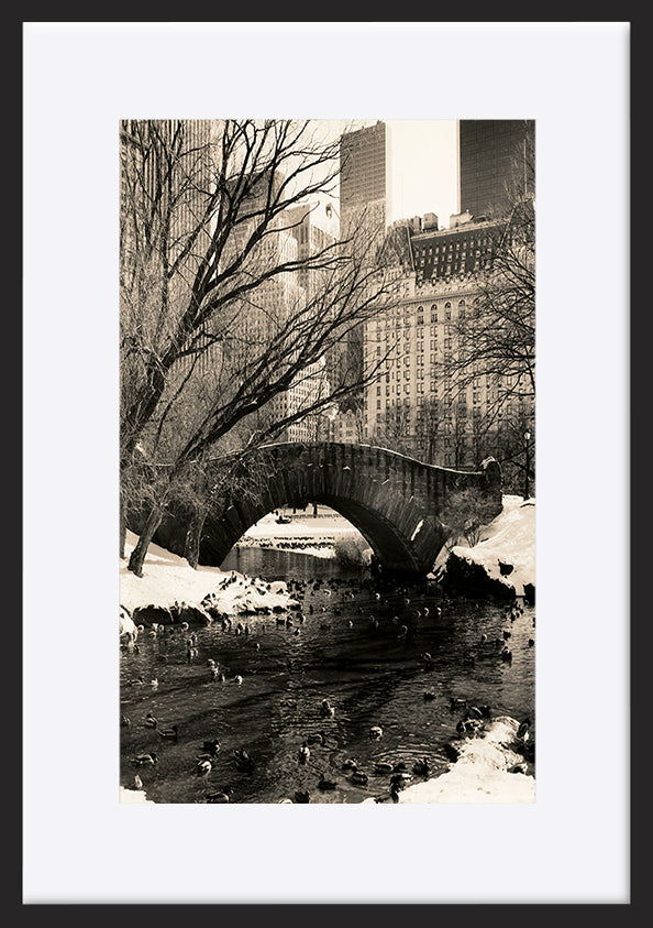 paper_frame