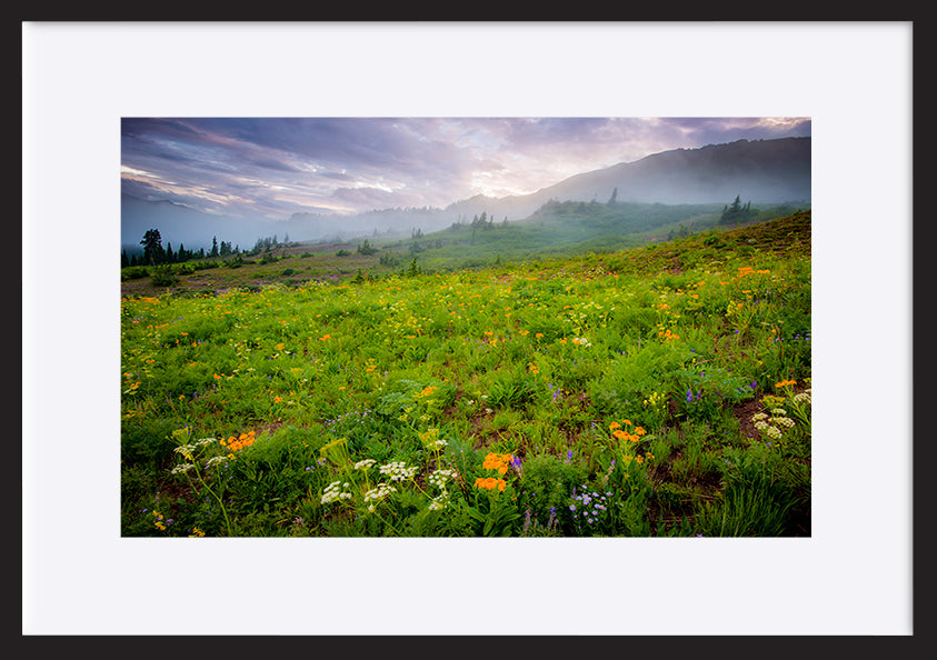 paper_frame