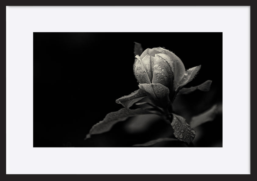 paper_frame