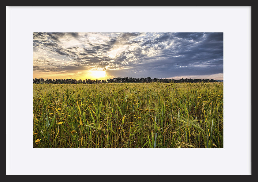 paper_frame