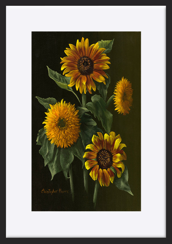 paper_frame