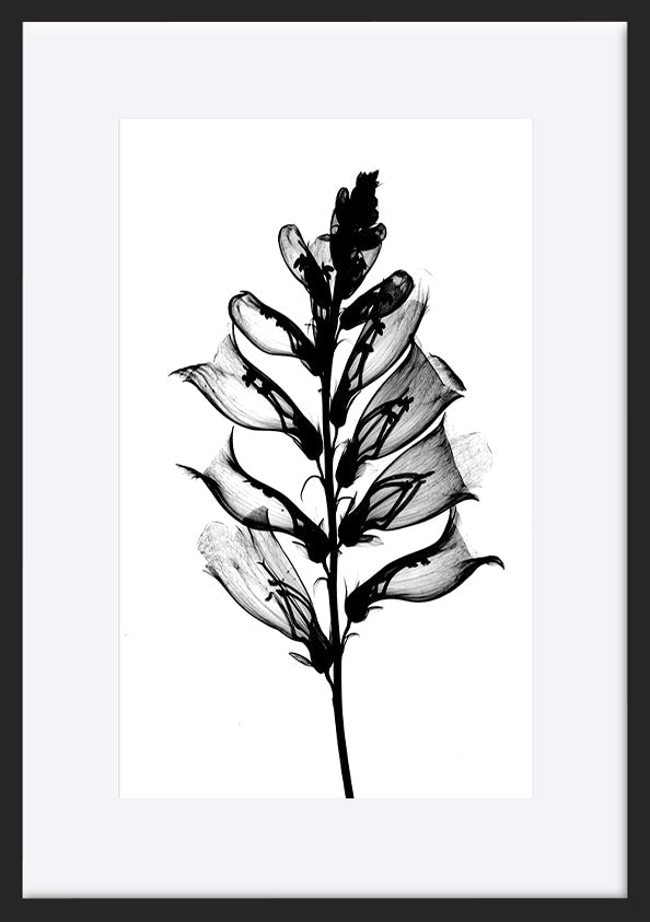 paper_frame
