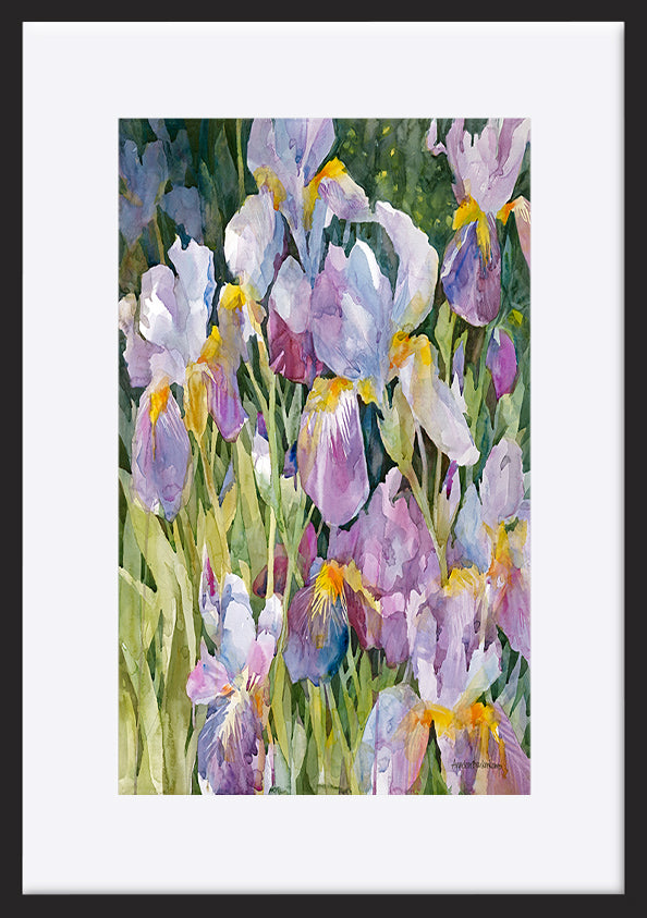 paper_frame