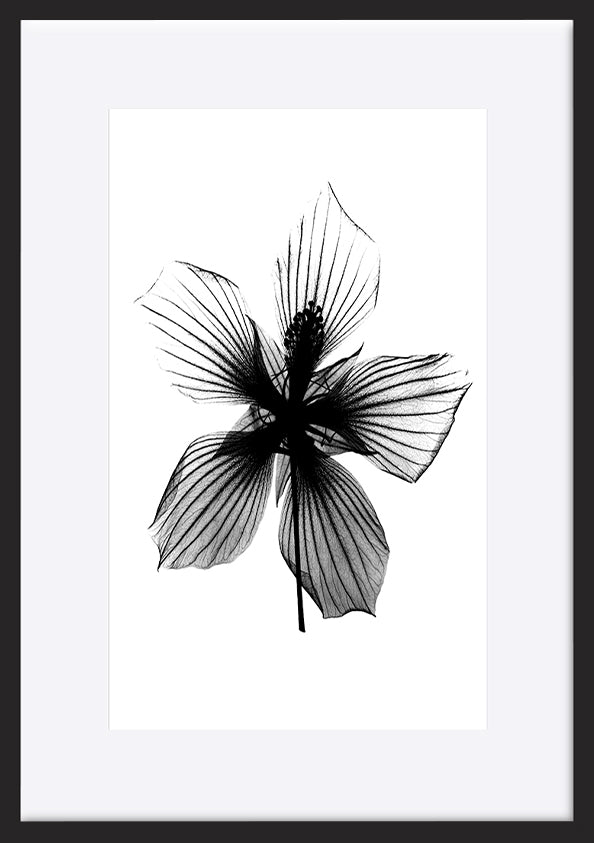 paper_frame
