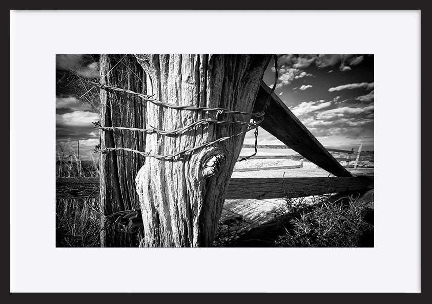 paper_frame