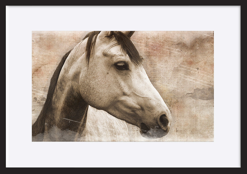 paper_frame