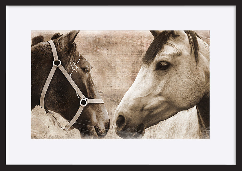 paper_frame
