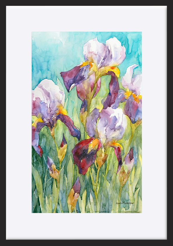 paper_frame