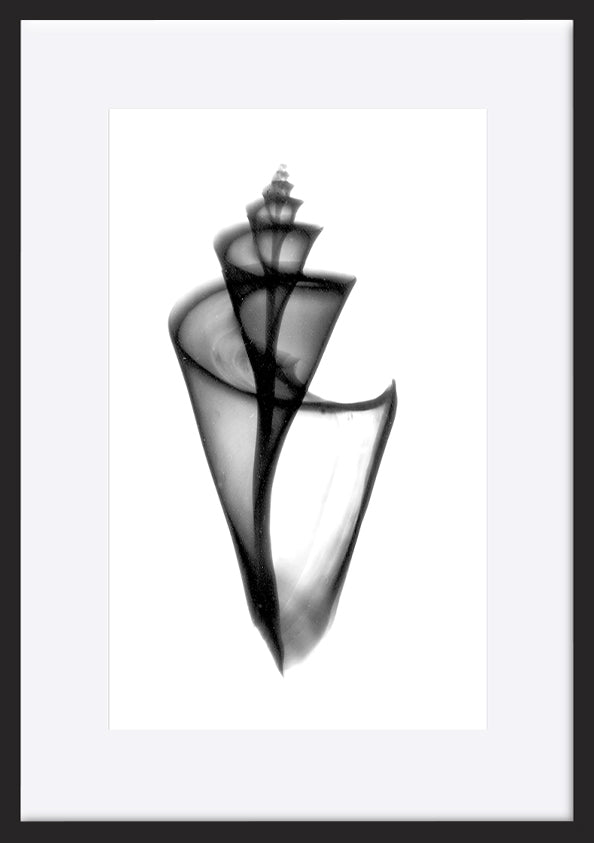 paper_frame