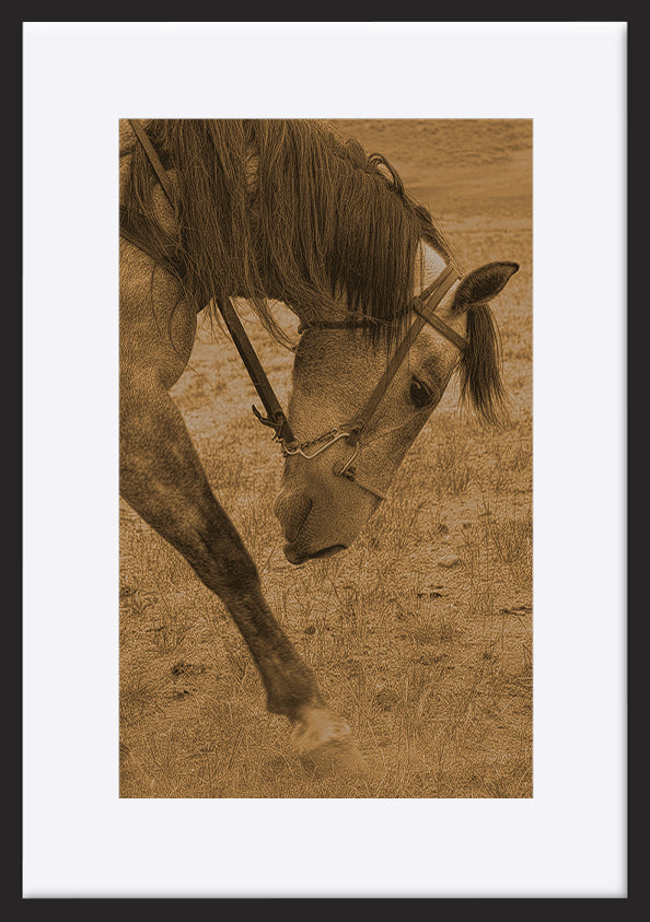 paper_frame