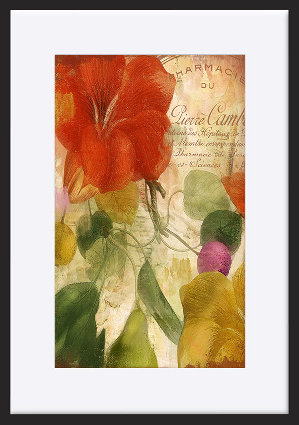 paper_frame